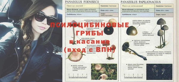 МДПВ Корсаков