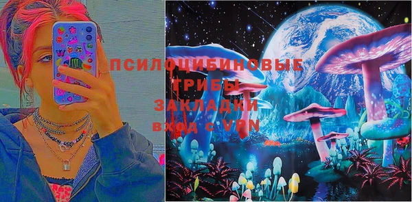 СК Козельск