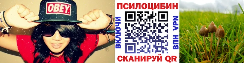 Галлюциногенные грибы мухоморы как найти закладки Костерёво